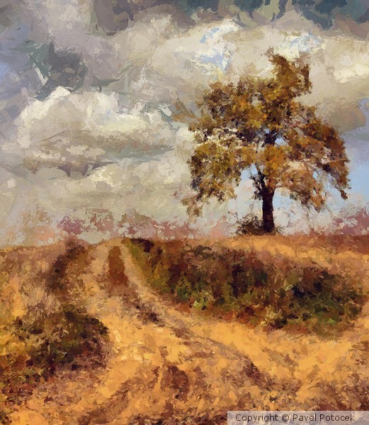 Field path in Autumn