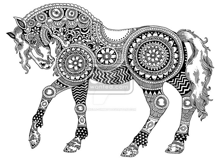 Horse in Detail