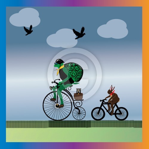 turtle and hare bike race