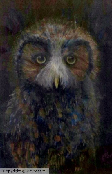 owl