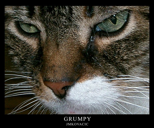 Grumpy