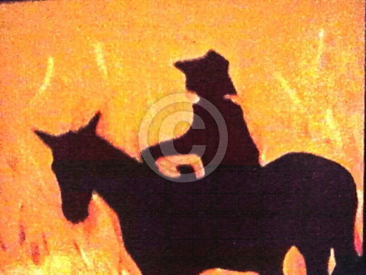 Cowboy Hell