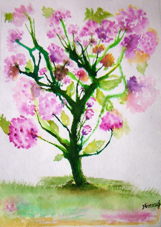 Blooms and Delights