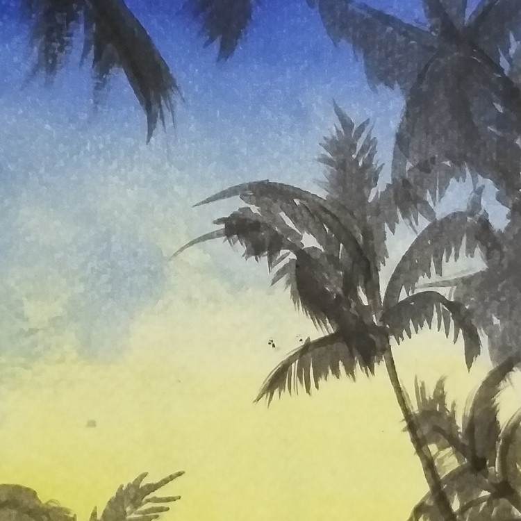 Drawn to Dawn