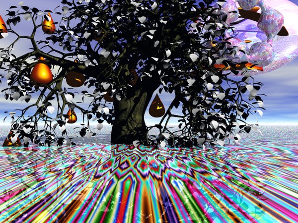 GENESIS 1*FORBIDDEN FRUIT