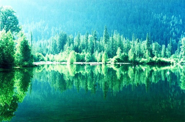 Mirror Image