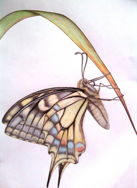 Lightness