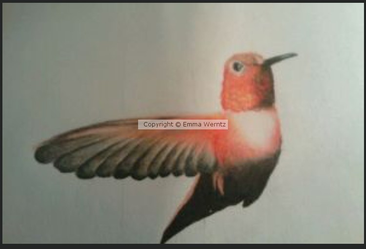 Detail of hummingbird piece