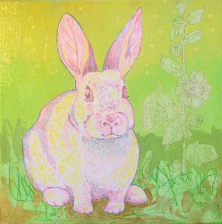 Rabbit