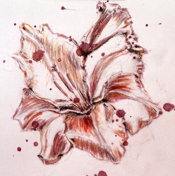 Gladiola Watercolor