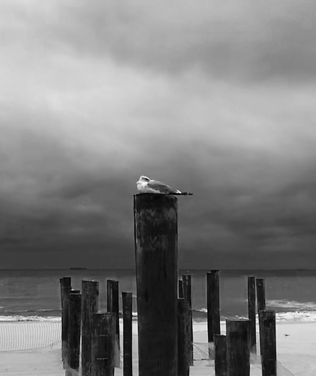Asleep for the coming storm