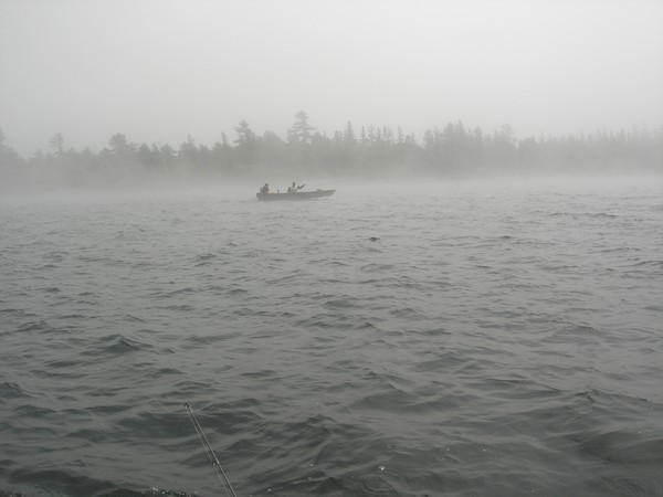 Fishing in the Mist