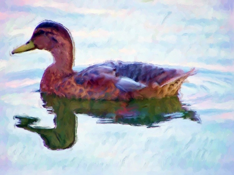 AW 0780 Mallard pastel