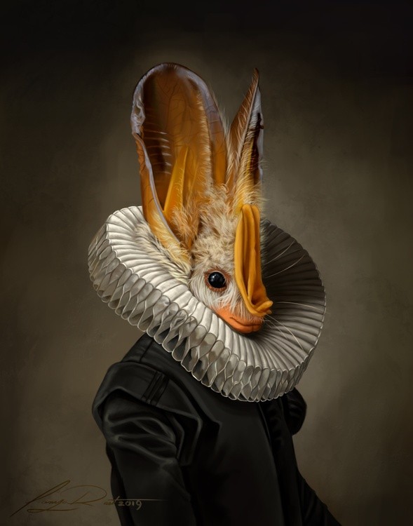 Yellow Winged Duke 