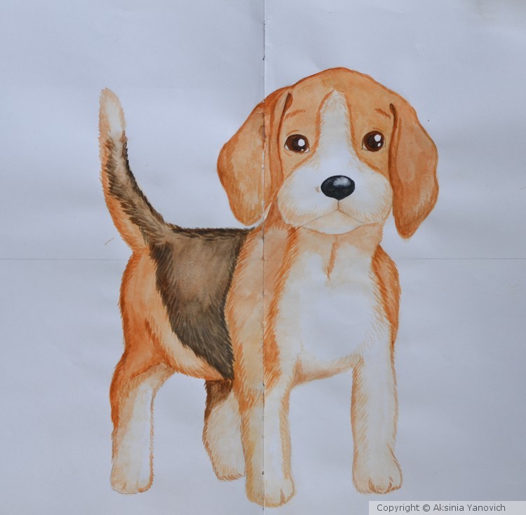Beagle