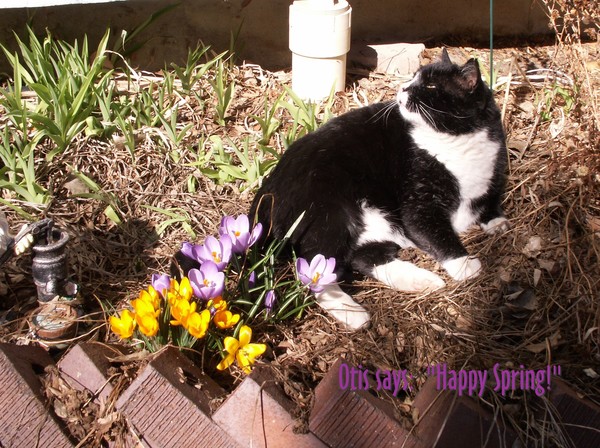 Happy Spring!