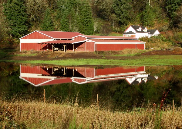 Puddle Barn