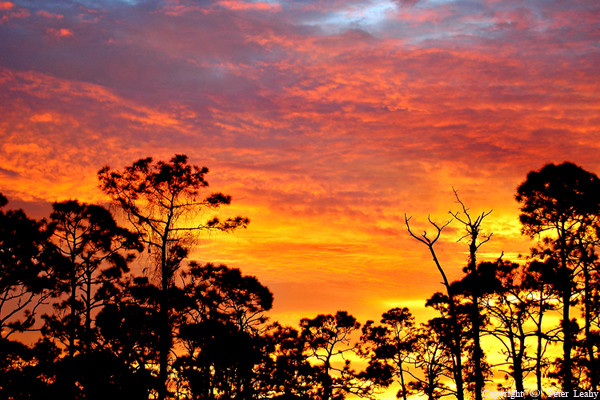 Looks more like a fire than a Sunrise