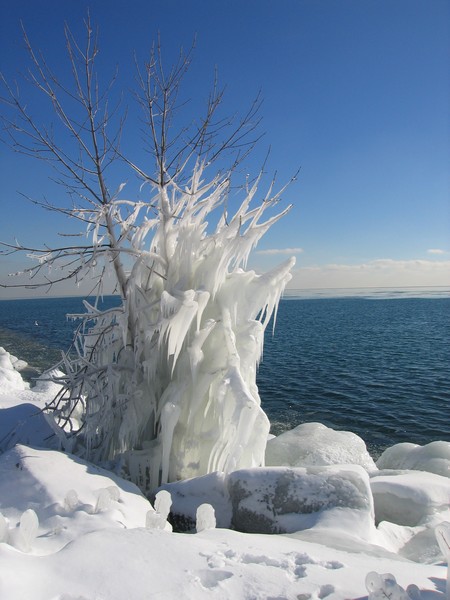 Winter Beauty 2.