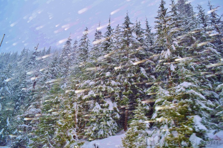 Driving through the snow!