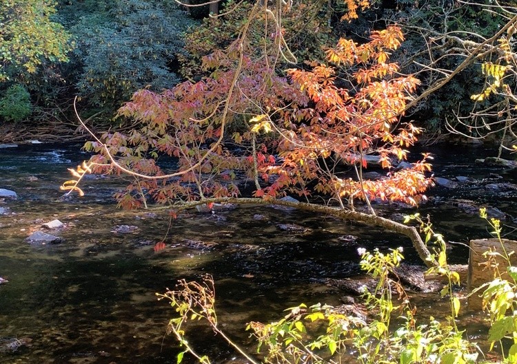 Down by the River