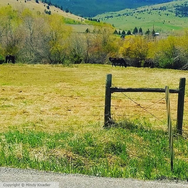 country