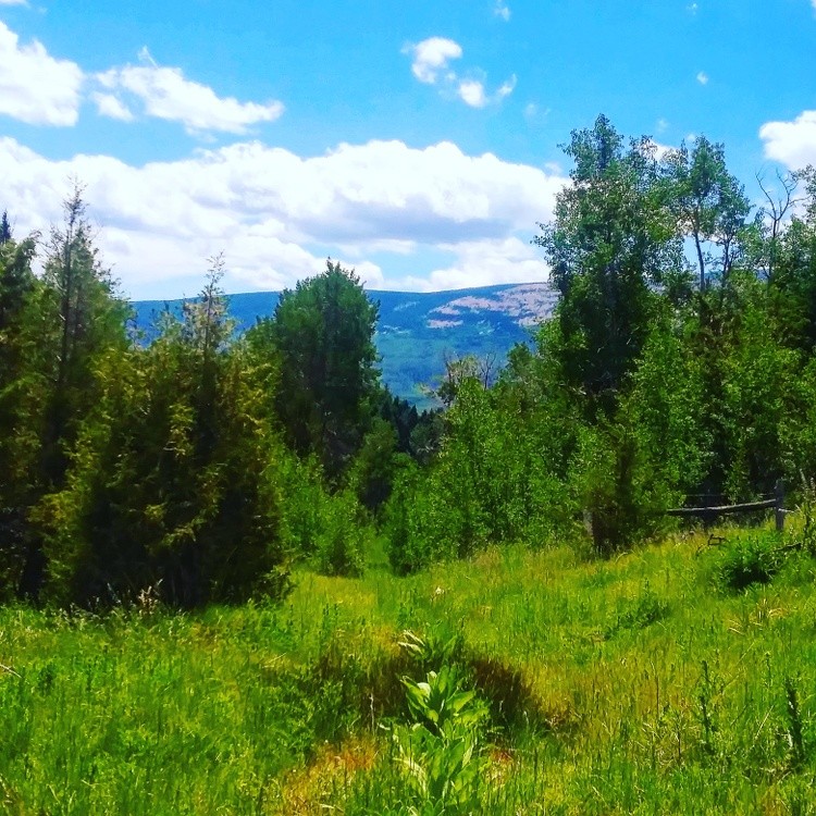 IMG 20200720 155344 697