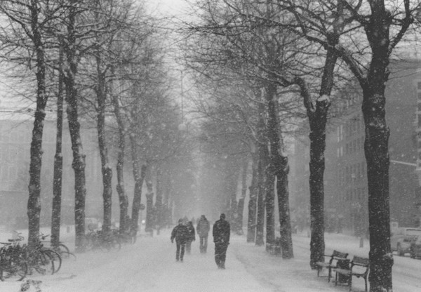 snö i allén