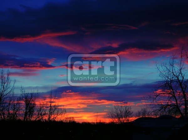 CottonCandy Colorado SunRise
