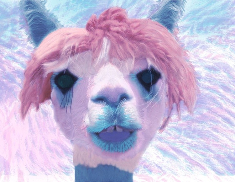 Pastel colors Alpaca Lama