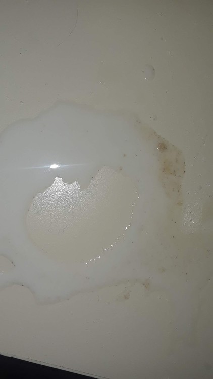 I see hearts everywhere- messy milk heart