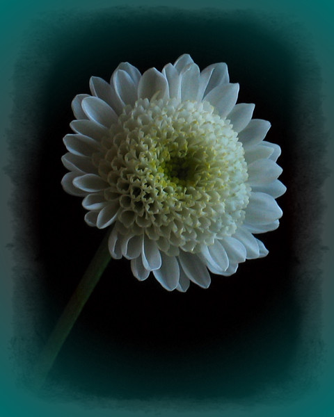 A Bit Of Beauty