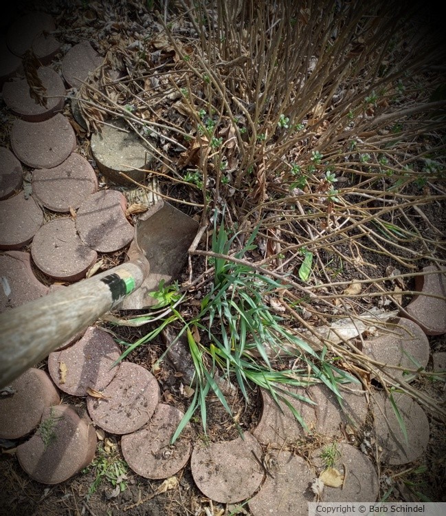 Spring cleanup.
