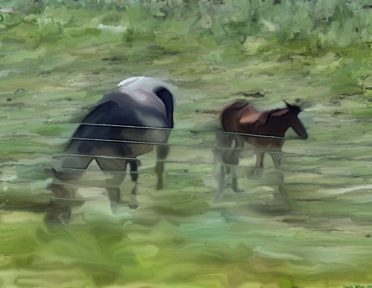 Mother and Baby
