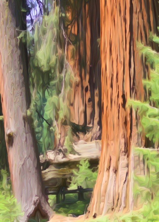 In The Land Of Giants