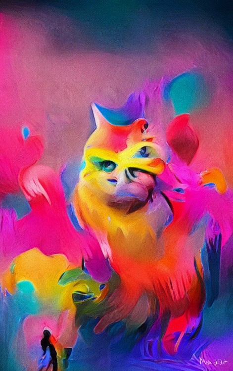 Annoying Cat