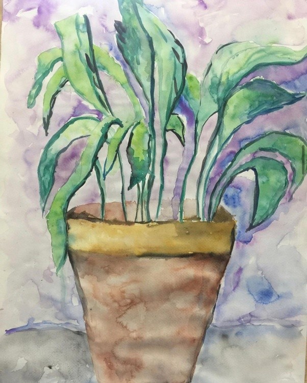 Still Life