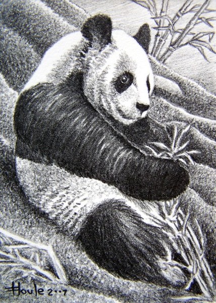 Panda I Art Card