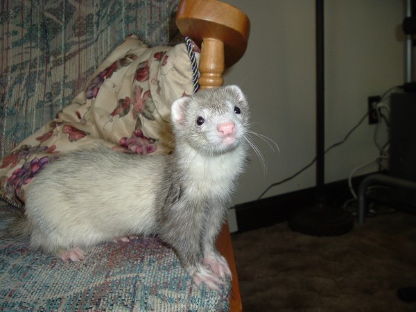 ready for my close up