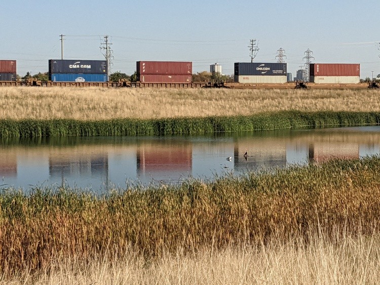 Prairie Reflections