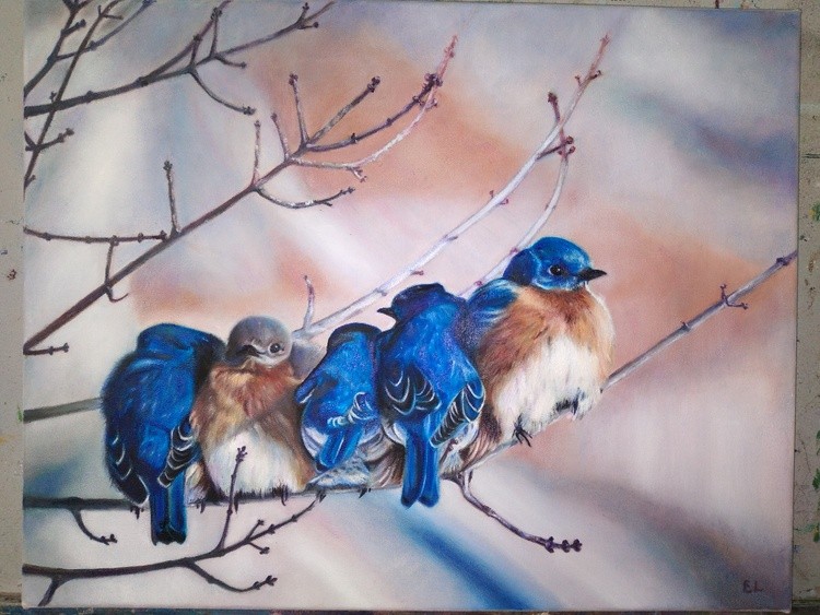 Bluebirds