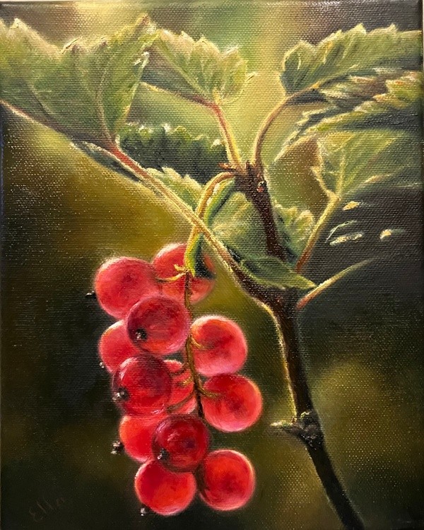 Red Currant