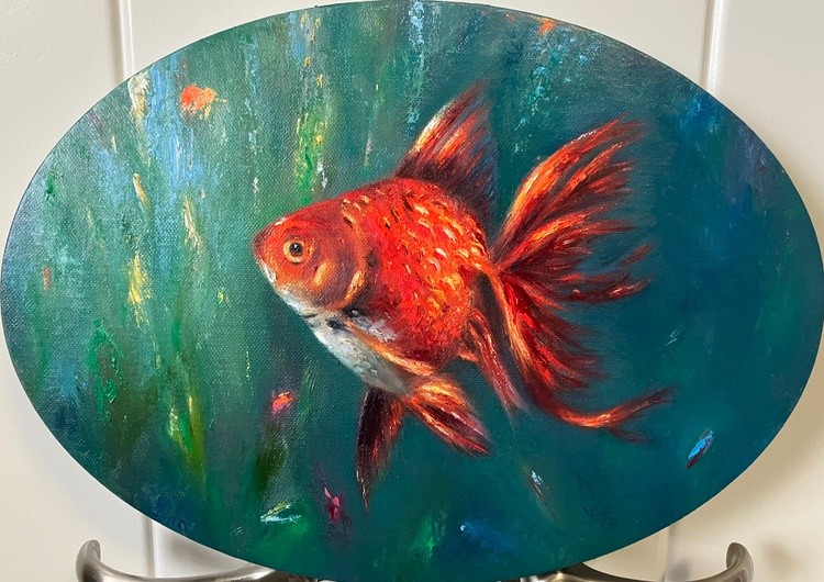 Wish upon a Fish