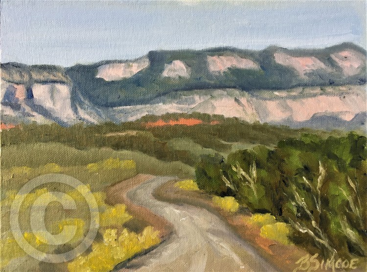 On the road to Corral Dunes