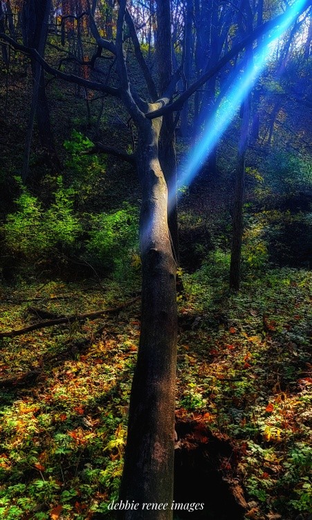 Be the light.