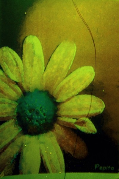 behind the golden flower is the planet