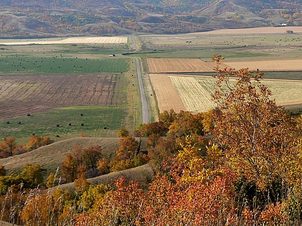 Autumn Colors