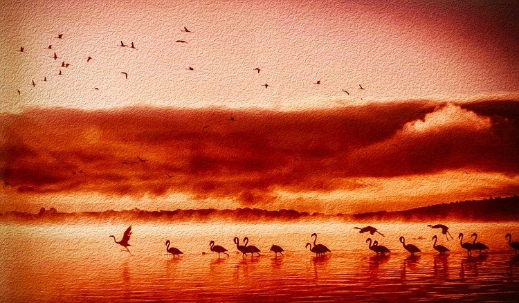 Flamingo Sunset – Tranquil Nature Wall Art