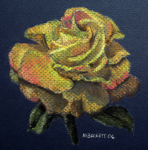 Pastel Rose