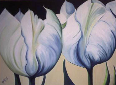 Beautiful tulips